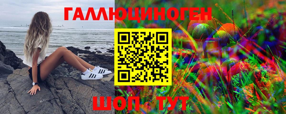 Галлюциногенные грибы GOLDEN TEACHER Балаково